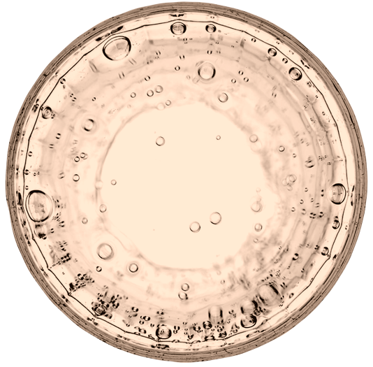 The critical role of NAD in cellular health